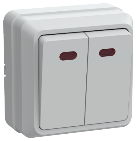 Выключатель 2-клавишный для открытой установки с индикацией ВС20-2-1-ОБ 10А ОКТАВА белый IEK