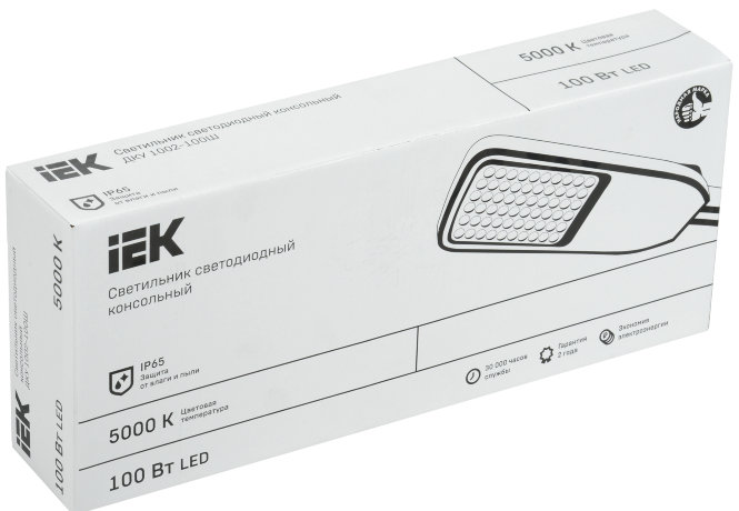 Светильник светодиодный консольный ДКУ 1002-100Ш 5000К IP65 серый IEK